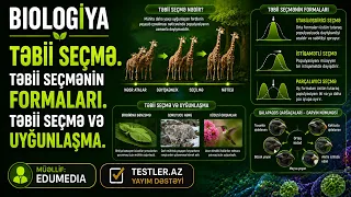 Təbii seçmə. Təbii seçmənin formaları. Təbii seçmə və uyğunlaşma. Biologiya #biologiya #testler