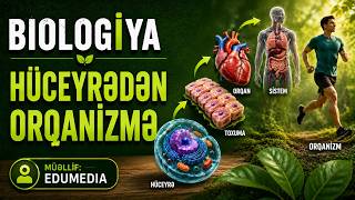 Hüceyrə. Toxuma. Orqan. Orqanlar sistemi. Orqanizm #biologiya #dersler