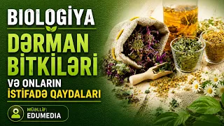 Dərman bitkiləri və onların istifadə qaydaları. Biologiya #biologiya #kesfet #kəşfet
