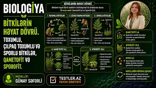 Bitkilərin Həyat Dövrü. Toxumlu, Çılpaq Toxumlu və Sporlu Bitkilər, Qametofit və Sporofit. Biologiya