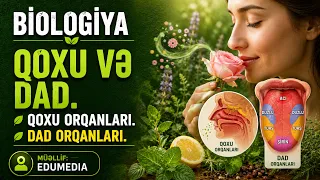 Qoxu və dad. Qoxu orqanları. Dad orqanları. #biologiya #sınaq #miq
