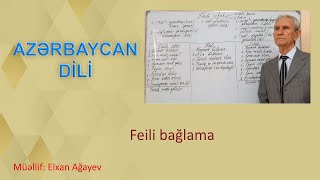 Feili bağlama. Azərbaycan dili. Dərs 36.