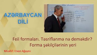 Feil formaları. Təsriflənmə nə deməkdir? Forma şəkilçilərinin yeri. Azərbaycan dili. Dərs 30.