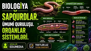Sapqurdlar. Ümumi quruluşu. Orqanlar sistemləri. Biologiya #biologiya #testler #