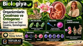 Orqanizmlərin Çoxalması və Ontogenez — Qeyri-Cinsi və Cinsi Çoxalma, Qametogenez, Mitoz | Biologiya