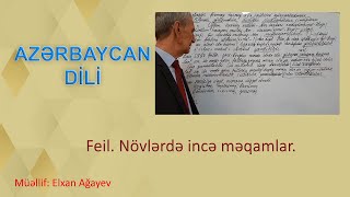 Feil. Növlərdə incə məqamlar. Azərbaycan dili. Dərs 29.